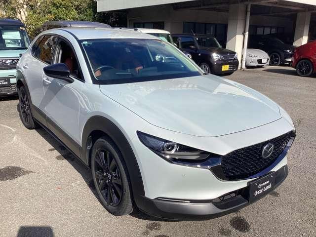 ���z�\���͉���薳�A��]�ԍ����A�X���[�Ԃ̖ڈ��ō쐬���Ă���܂��B�A����L�ő��z�͑O�サ�܂��B