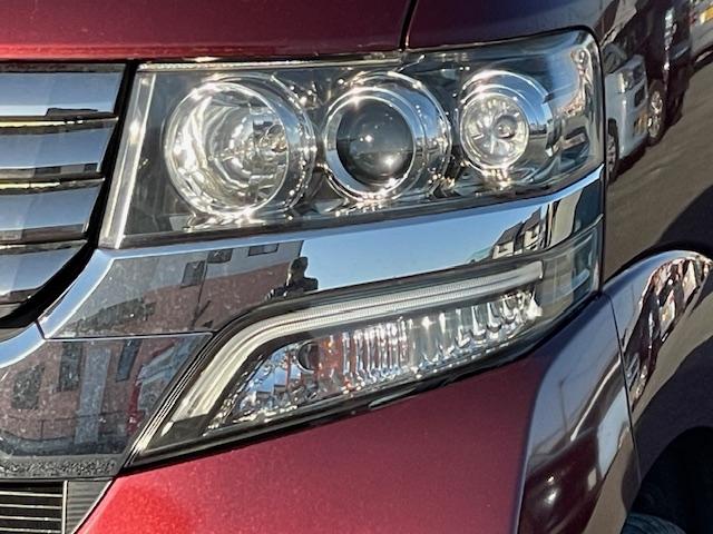 �y�g�h�c���C�g�z�g�h�c���C�g�͏Ǝ˔͈͂��L�����邳���ő�̓����ŁA���F�����������߈��S���̌���Ɍq����܂��I