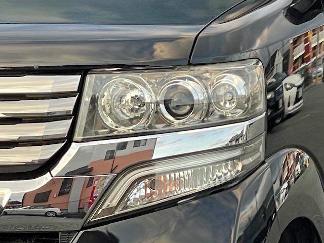 �y�g�h�c���C�g�z�g�h�c���C�g�͏Ǝ˔͈͂��L�����邳���ő�̓����ŁA���F�����������߈��S���̌���Ɍq����܂��I