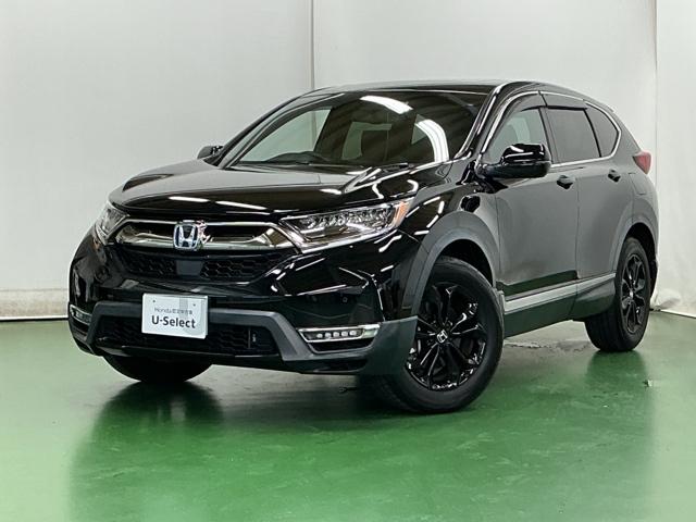 ＣＲ－Ｖハイブリッド ｅ：ＨＥＶＥＸ・ブラックエディション　ドラレコ　ナビ　Ｒカメラ　ブルートゥース　衝突被害軽減ブレーキ　ハンズフリーパワーテールゲート　ドライブレコーダー　キーレス　ＬＥＤヘッドライト　記録簿　ＤＶＤ再生　シートヒータ　エアバッグ　ＥＴＣ（11枚目）