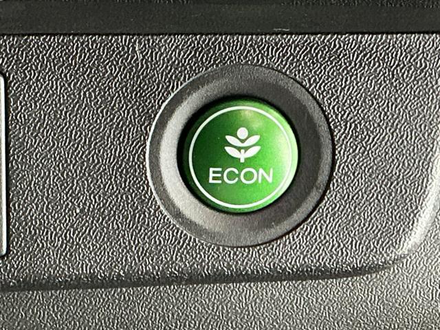 ステップワゴンスパーダ スパーダホンダセンシング　ドラレコ　ナビ　Ｒカメラ　後席モニター　盗難防止　助手席エアバッグ　Ｗパワスラ　記録簿有　地デジ　ＬＥＤライト　横滑り防止システム　オートエアコン　リアカメラ　ドライブレコーダー装着車　ＵＳＢ　スマ鍵（29枚目）