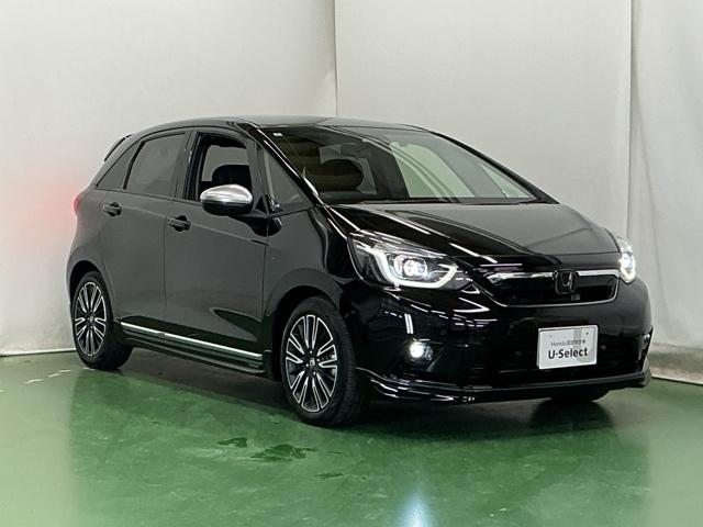 �V�����n�C�u���b�h�V�X�e�����F�g�d�u�͎s�X�n���s�ł͓d�C�����Ԃɋ߂��n�C�u���b�h�V�X�e���Ń��[�^�[������ő��s���܂��B�[�d�ׂ̈ɃG���W�����n�����Ă��D�ꂽ�Չ����\�Ŏԓ��͂ƂĂ��Â��ŉ��K�ł�