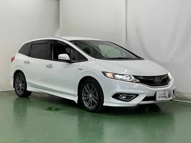 �X�|�[�e�B�[�ȃt�H�����̃n�b�`�o�b�N�ł�