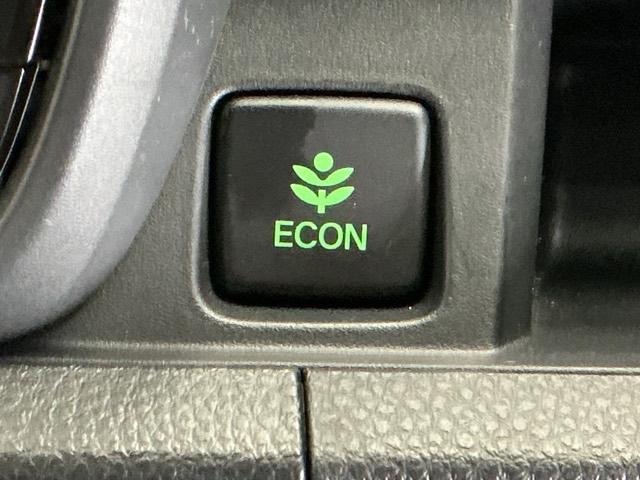 Ｎ－ＯＮＥ プレミアムツアラー　ディスプレイオーディオ　Ｒカメラ　ＴＶ　Ｐセンサー　ターボエンジン　カーテンエアバック　記録簿　ＬＥＤランプ　クルコン　前席シートヒーター　イモビ　Ｗエアバッグ　フルオートエアコン　エアバック　ＡＢＳ（28枚目）