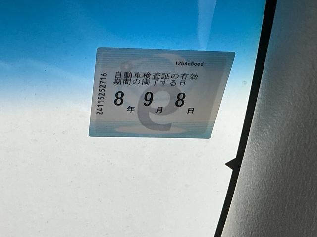 �Ԍ��͂����̊����܂łƂȂ�܂�