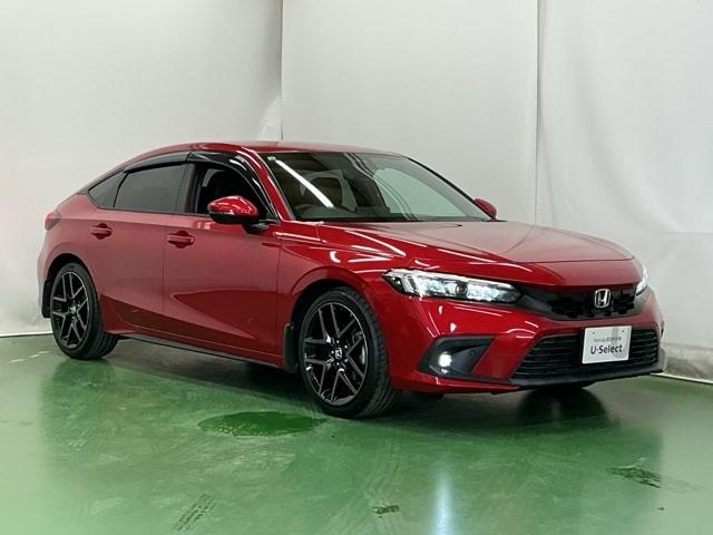 �X�|�[�e�B�[�ȃt�H�����̃n�b�`�o�b�N�ł�