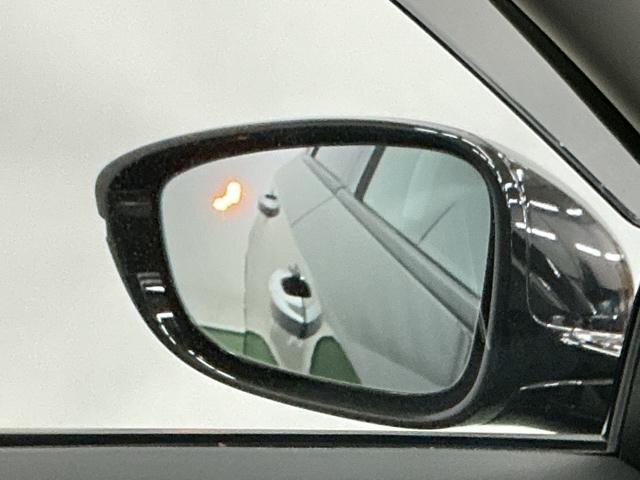 �u���C���h�X�|�b�g�C���t�H���[�V�����͑��s���A�΂ߌ��Ɏԗ������m����ƁA�h�A�~���[��̃}�[�N��_�����Ă��m�点���܂�