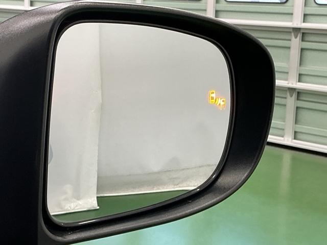 ライズ Ｚ　ナビ　Ｒカメラ　ブルートゥース　フルセグ　クリアランスソナ－　エコアイドル　衝突回避ブレーキ　ＡＵＴＯライト　点検記録簿　横滑防止装置　クルーズＣ　サイドエアバック　盗難防止機能　キーレスエントリー（18枚目）