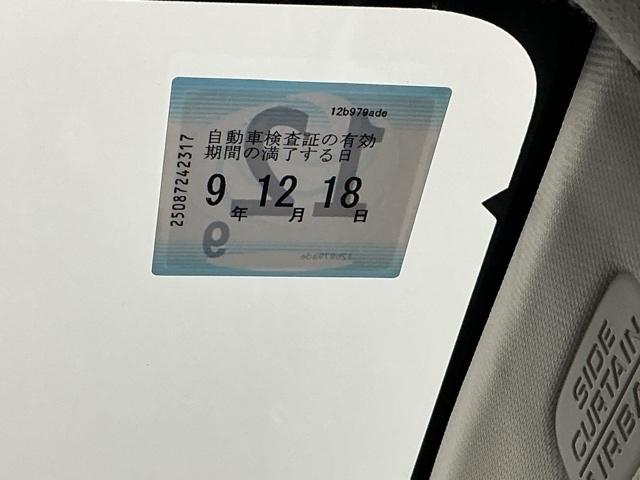 �Ԍ��͂����̊����܂łƂȂ�܂�