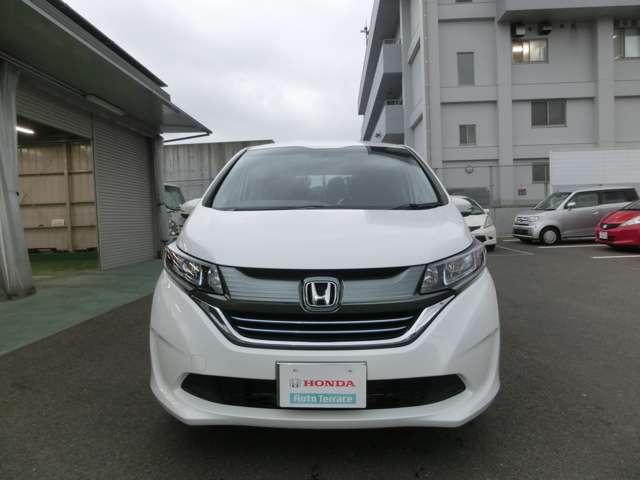 ハイブリッド・G(2枚目)