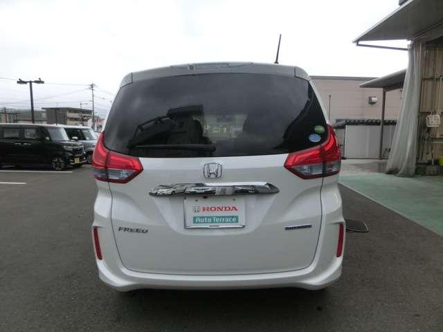 ハイブリッド・G(3枚目)