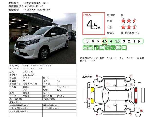 ハイブリッド・G(20枚目)