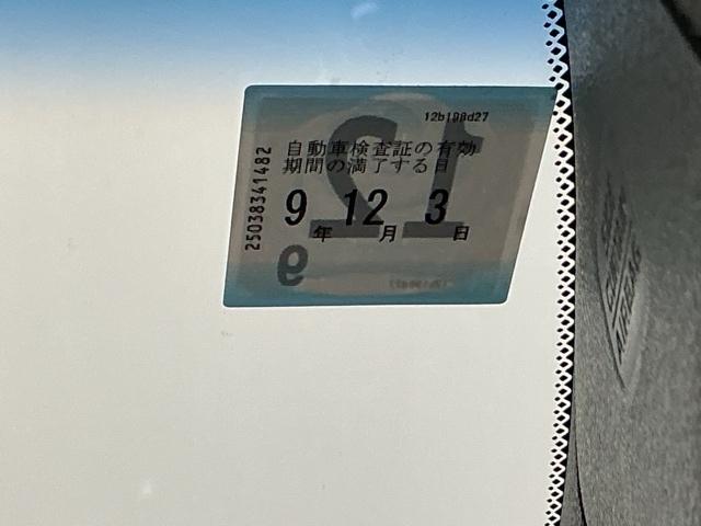 �Ԍ��͂����̊����܂łƂȂ�܂�