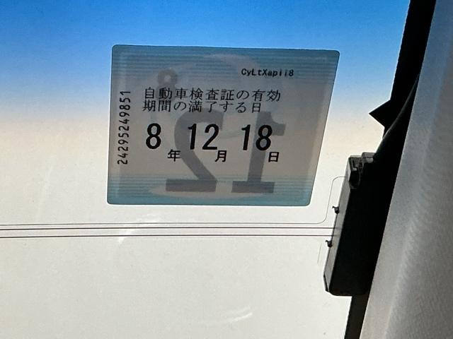 �Ԍ��͂����̊����܂łƂȂ�܂�