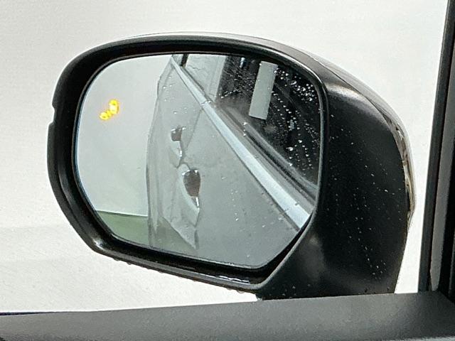 �u���C���h�X�|�b�g�C���t�H���[�V�����͑��s���A�΂ߌ��Ɏԗ������m����ƁA�h�A�~���[��̃}�[�N��_�����Ă��m�点���܂�