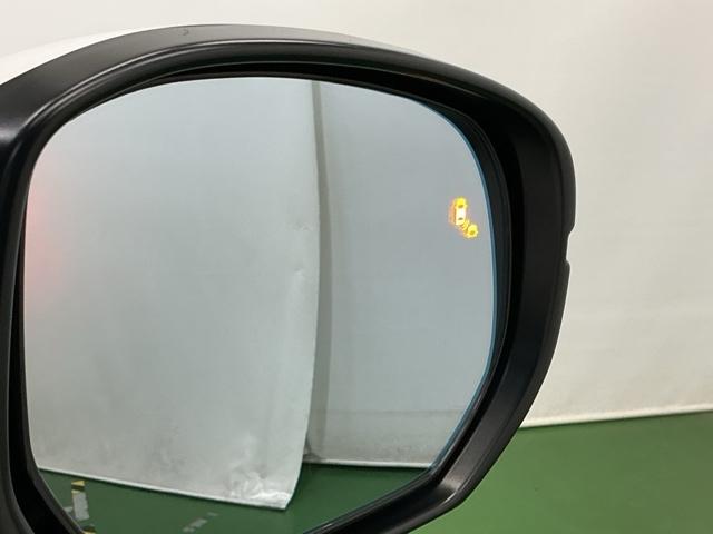 �u���C���h�X�|�b�g�C���t�H���[�V�����͑��s���A�΂ߌ��Ɏԗ������m����ƁA�h�A�~���[��̃}�[�N��_�����Ă��m�点���܂�