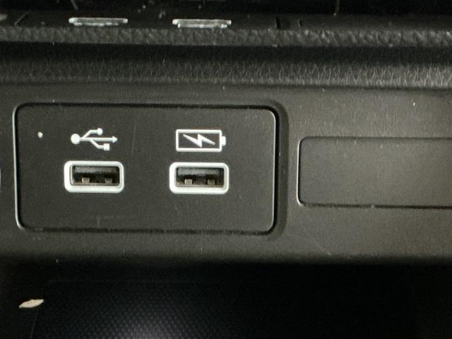 �Q�D�T�A���y�A�}���t�r�a�`���[�W���[���ځB�X�}�[�g�t�H���Ȃǂ̏[�d�ɂƂ��Ă��֗��ł�