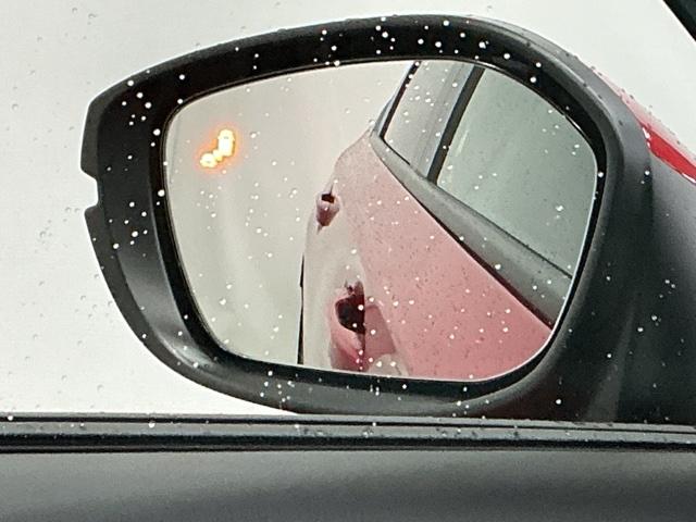 �u���C���h�X�|�b�g�C���t�H���[�V�����͑��s���A�΂ߌ��Ɏԗ������m����ƁA�h�A�~���[��̃}�[�N��_�����Ă��m�点���܂�