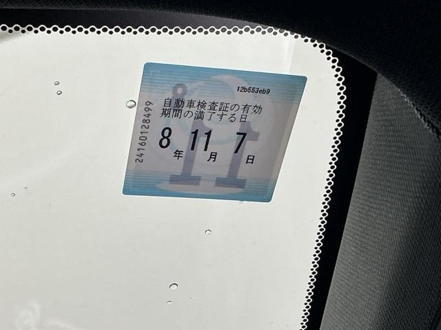 �Ԍ��͂����̊����܂łƂȂ�܂�