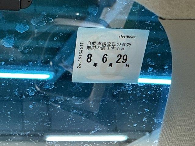 �Ԍ��������{��̔[�ԂƂȂ�܂��̂ŁA���̎Ԍ��͍w������Q�N��ł�