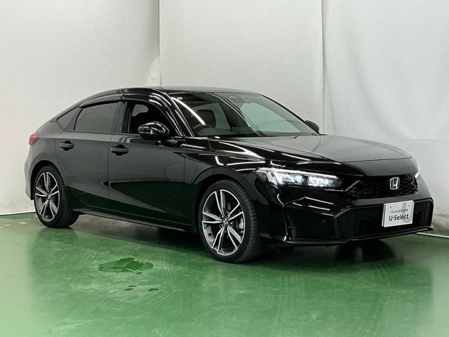 �X�|�[�e�B�[�ȃt�H�����̃n�b�`�o�b�N�ł�