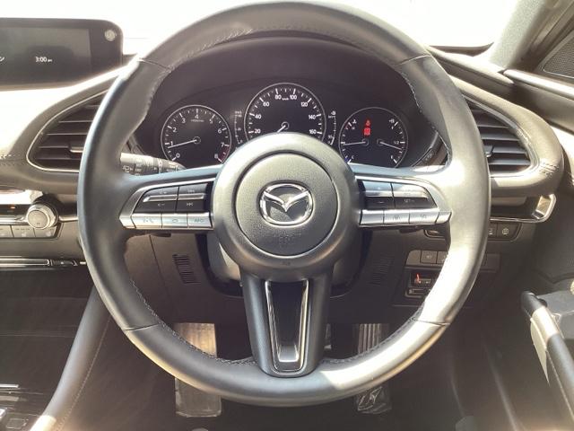 ＭＡＺＤＡ３ファストバック ２０Ｓプロアクティブツーリングセレクション　３６０°ビュー・モニター＋ドライバー・モニタリング　全周囲　オートクルーズ　パワーステアリング　ＤＶＤプレーヤー　ＥＴＣ車載器　ＬＥＤライト　エアバッグ　Ｂカメラ　ＡＢＳ　キーフリー　ドラレコ　ＵＳＢ（15枚目）