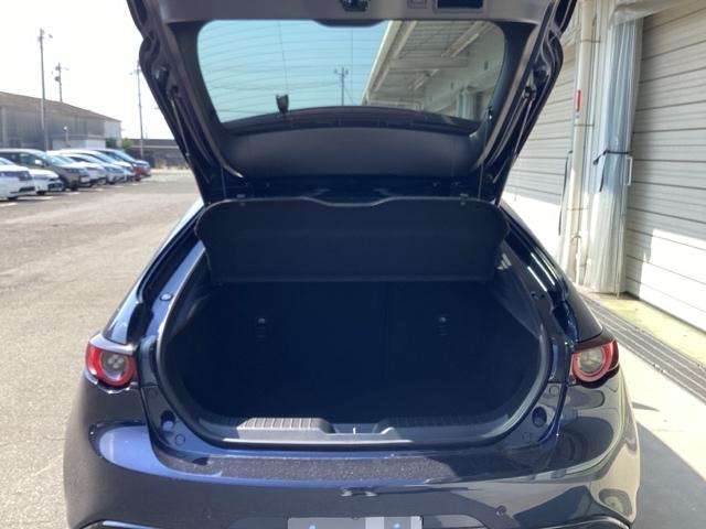 ＭＡＺＤＡ３ファストバック ２０Ｓプロアクティブツーリングセレクション　３６０°ビュー・モニター＋ドライバー・モニタリング　全周囲　オートクルーズ　パワーステアリング　ＤＶＤプレーヤー　ＥＴＣ車載器　ＬＥＤライト　エアバッグ　Ｂカメラ　ＡＢＳ　キーフリー　ドラレコ　ＵＳＢ（18枚目）