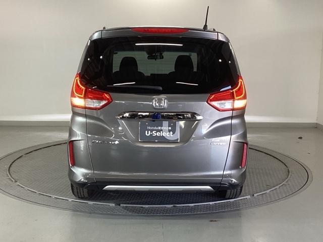 �����̂悤���Y��ɃN���[�j���O����Ă���A�ƂĂ��L���C�ȃ{�f�B�ł���B�O���͂������������Y��ł��B