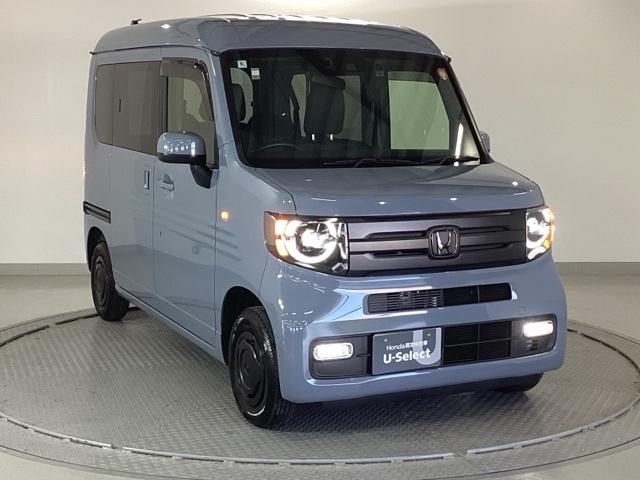 �����̂悤���Y��ɃN���[�j���O����Ă���A�ƂĂ��L���C�ȃ{�f�B�ł���B�O���͂������������Y��ł��B