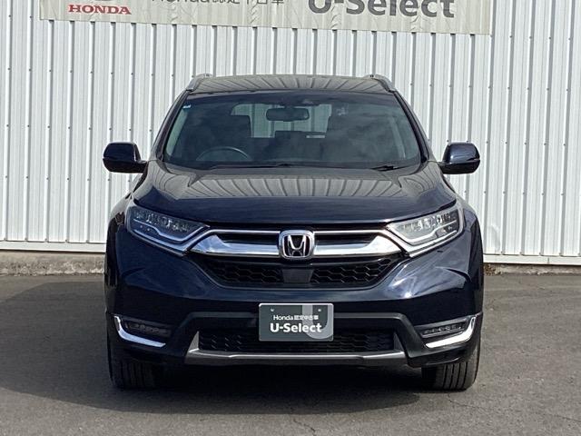 �{�f�B�[�J���[�̓u���[�ł��B