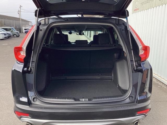 �e�[���Q�[�g���J����ƃ��Q�b�W���[��������̂ŉו������[�ł��܂��B