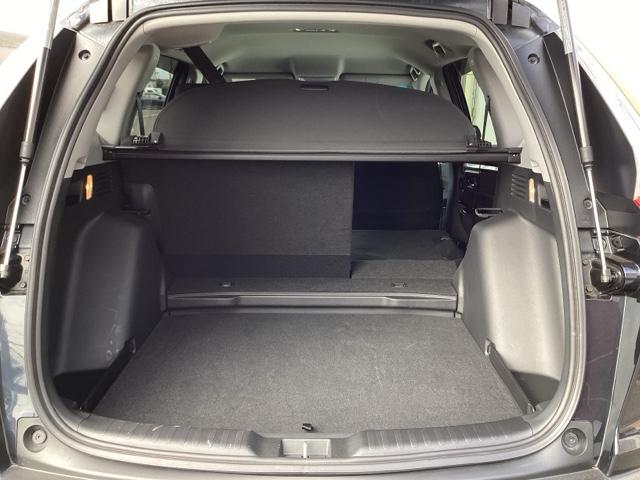 �J�[�S���[�������|���E