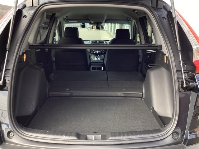 �J�[�S���[���S�|����