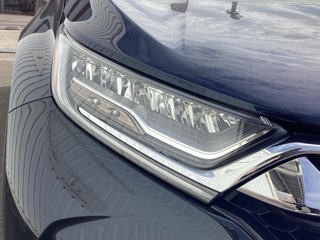 �k�d�c�w�b�h���C�g�i�E���j�ł�