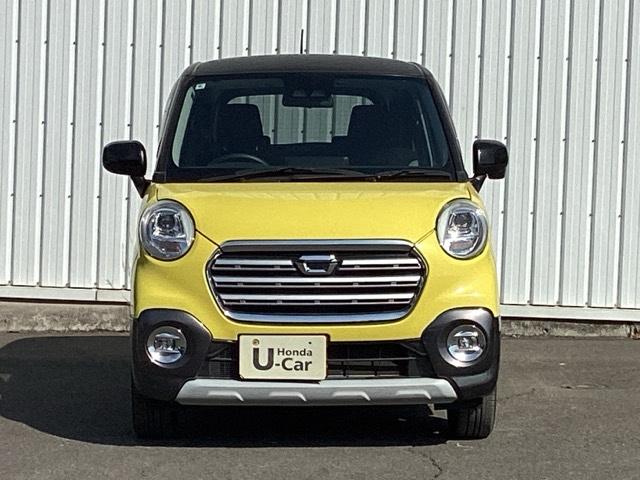 �{�f�B�[�J���[�̓C�G���[�ł��B