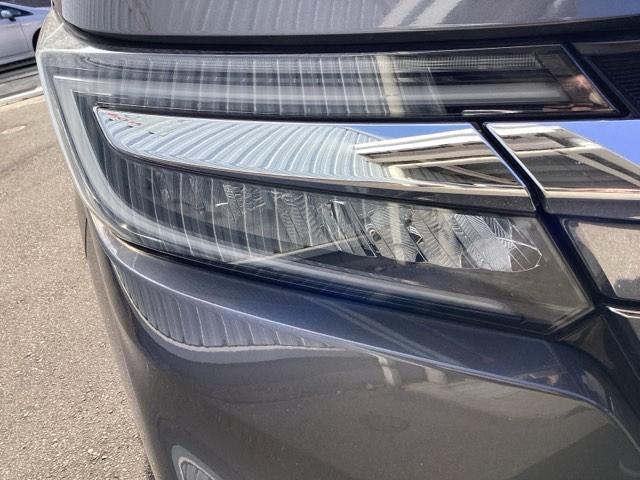 �k�d�c�w�b�h���C�g�i�E���j�ł�