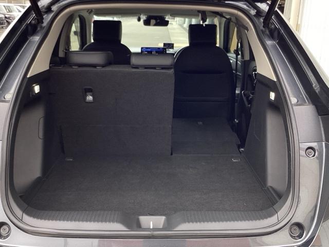 �J�[�S���[�������|���E