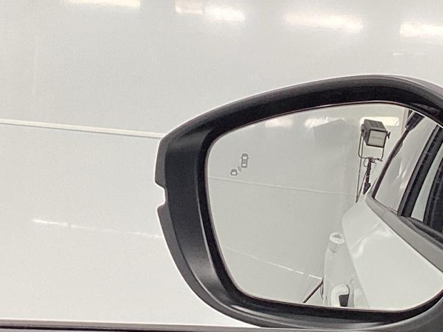 �u���C���h�X�|�b�g�C���t�H���[�V�����͑��s���A�΂ߌ��Ɏԗ������m����ƁA�h�A�~���[��̃}�[�N��_�����Ă��m�点���܂�