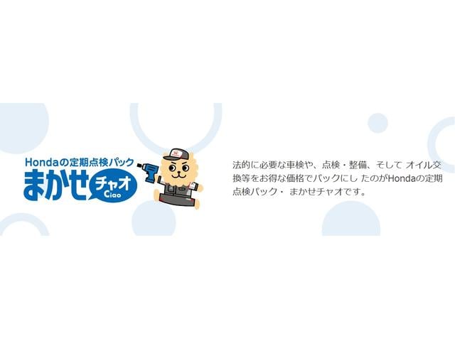 ｅ：ファン　試乗車／ＥＴＣ／純正ナビ／バックモニター／ホンダセンシング　ＬＥＤヘッド　サイドカーテンエアバック　地デジチューナー　電動格納ミラー　インテリキー　デモカーＵＰ　ＵＳＢ　エアコン　ＥＴＣ車載器　ＥＳＣ（画像52）