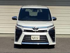 ���顼�ϥۥ磻�ȥѡ��륯�ꥹ���륷�㥤��Ǥ� 6