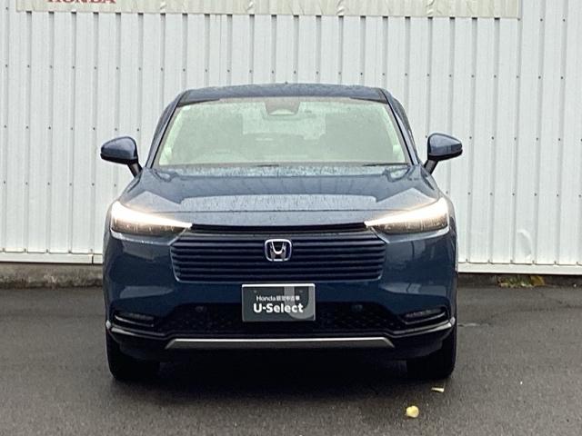 �{�f�B�[�J���[�̓V�[�x�b�h�u���[�E�p�[���ł��B