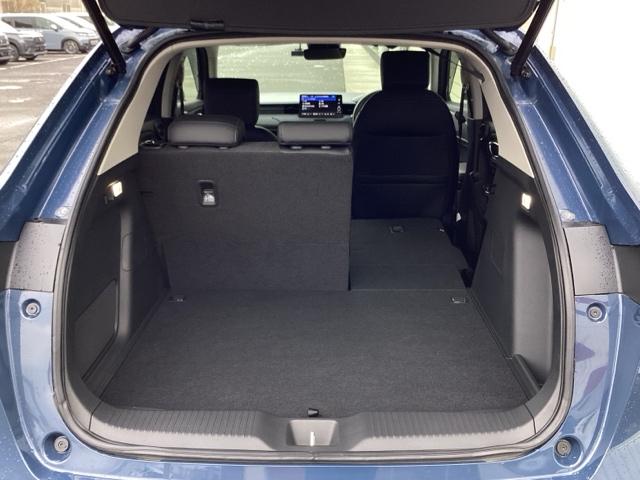 �J�[�S���[�������|���E