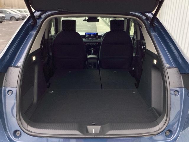 �J�[�S���[���S�|����