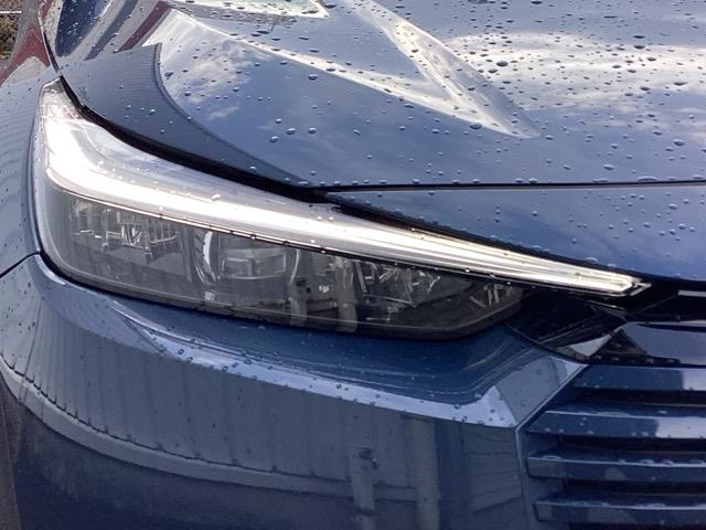 �k�d�c�w�b�h���C�g�i�E���j�ł�