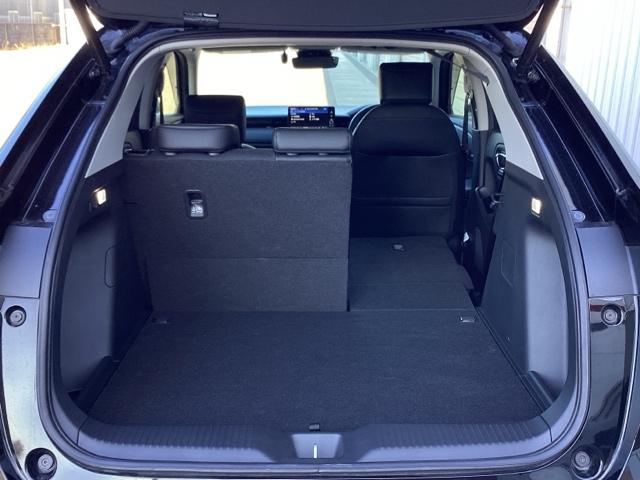 �J�[�S���[�������|���E