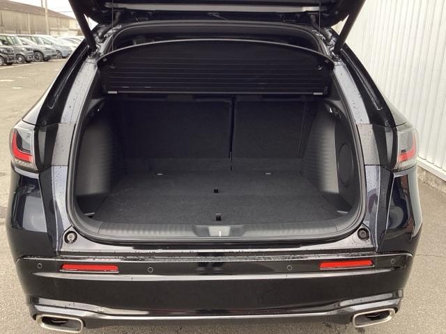 ����ȃe�[���Q�[�g�ł��B���L�A�Ⴂ���ʂő傫�ȉו��̏o�����ꂪ�ȒP�ɂȂ�܂��B	�R���p�N�g�{�f�B�[�Ȃ̂ɁA�׎��͂���ȂɍL�X�I��������ו����ς߂܂���B