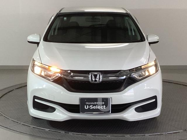 �����̂悤���Y��ɃN���[�j���O����Ă���A�ƂĂ��L���C�ȃ{�f�B�ł���B�O���͂������������Y��ł��B