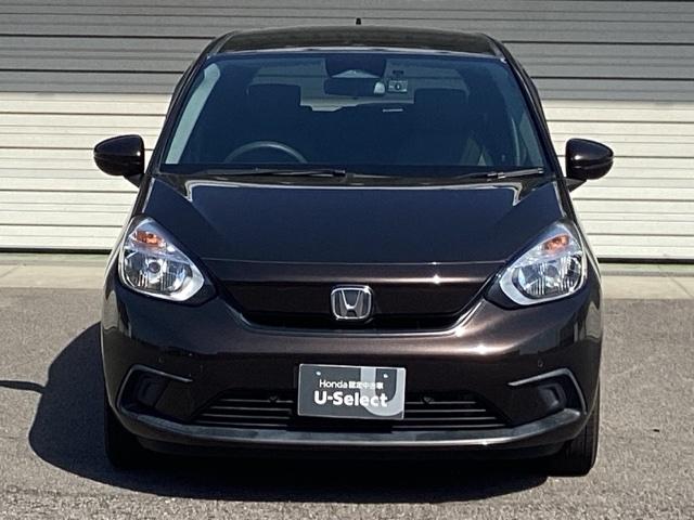 �n���Q���w�b�h���C�g�͒g���݂̂���F�ŗD�����A���邭�Ǝ˂��܂��B