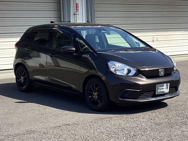 �J���[�̓v���~�A���O���}���X�u�����Y�p�[���ł�