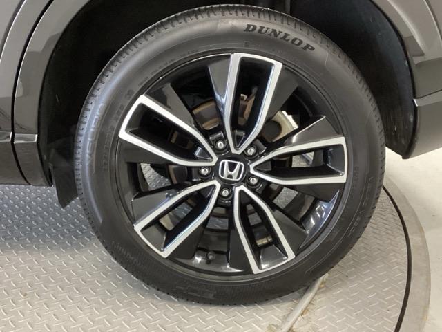 �z���_�����P�W�C���`�A���~�z�C�[���ł��I